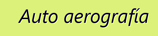 Auto aerografía