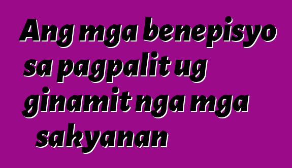 Ang mga benepisyo sa pagpalit ug ginamit nga mga sakyanan