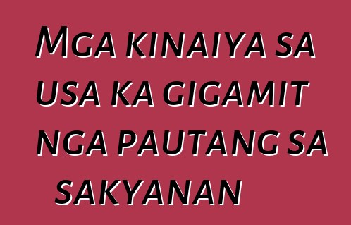 Mga kinaiya sa usa ka gigamit nga pautang sa sakyanan