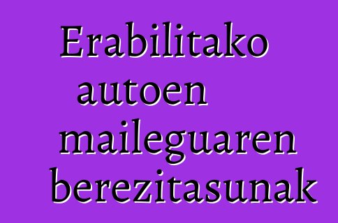 Erabilitako autoen maileguaren berezitasunak