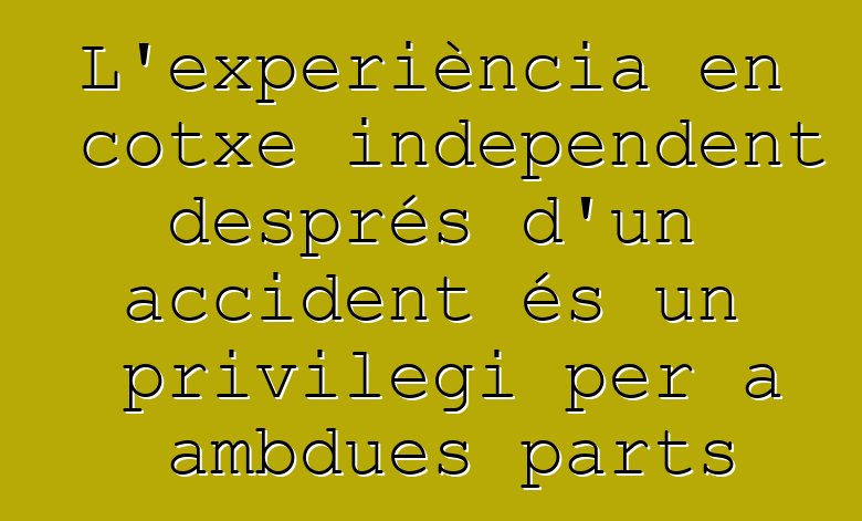 L'experiència en cotxe independent després d'un accident és un privilegi per a ambdues parts