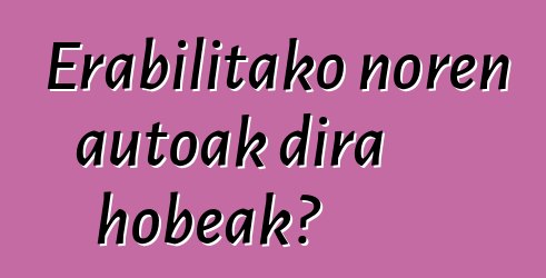Erabilitako noren autoak dira hobeak?