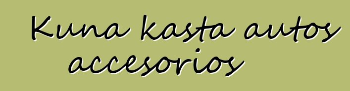 Kuna kasta autos accesorios