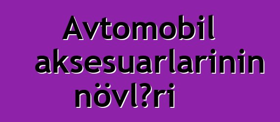 Avtomobil aksesuarlarının növləri