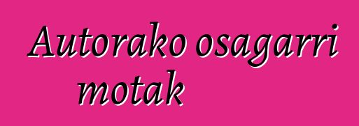 Autorako osagarri motak