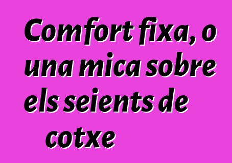 Comfort fixa, o una mica sobre els seients de cotxe