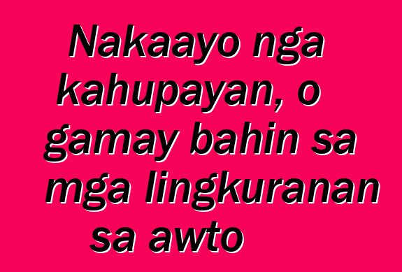 Nakaayo nga kahupayan, o gamay bahin sa mga lingkuranan sa awto