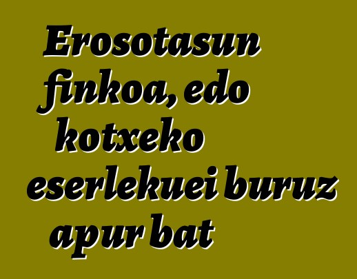 Erosotasun finkoa, edo kotxeko eserlekuei buruz apur bat