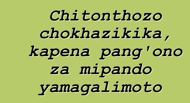 Chitonthozo chokhazikika, kapena pang'ono za mipando yamagalimoto