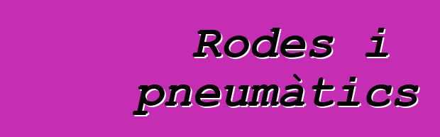 Rodes i pneumàtics