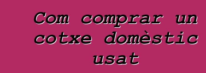Com comprar un cotxe domèstic usat