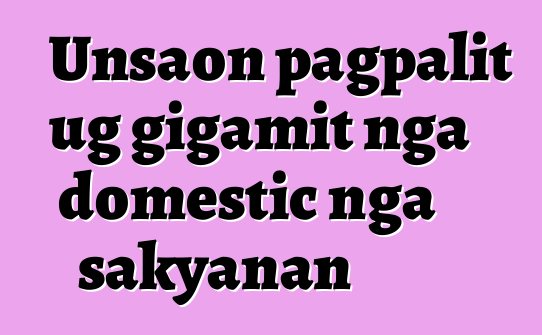 Unsaon pagpalit ug gigamit nga domestic nga sakyanan