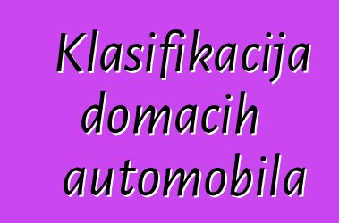 Klasifikacija domaćih automobila