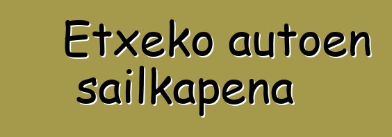 Etxeko autoen sailkapena