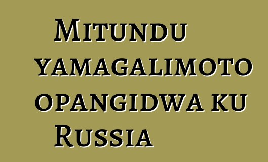 Mitundu yamagalimoto opangidwa ku Russia