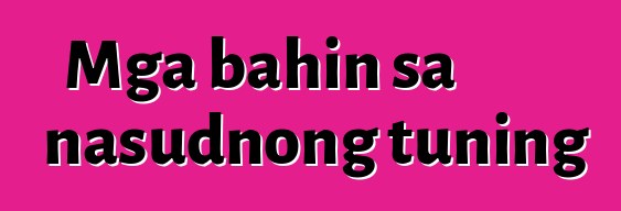 Mga bahin sa nasudnong tuning