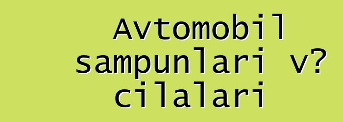 Avtomobil şampunları və cilaları