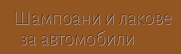 Шампоани и лакове за автомобили