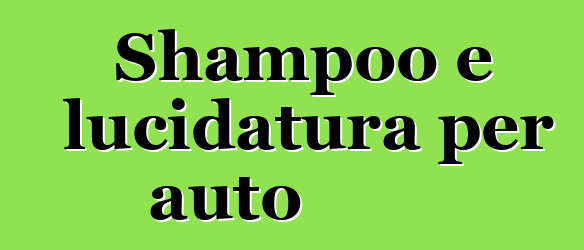 Shampoo e lucidatura per auto