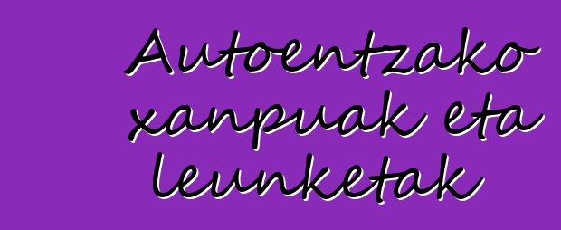 Autoentzako xanpuak eta leunketak