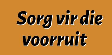 Sorg vir die voorruit