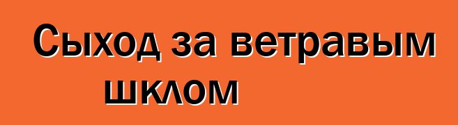 Сыход за ветравым шклом