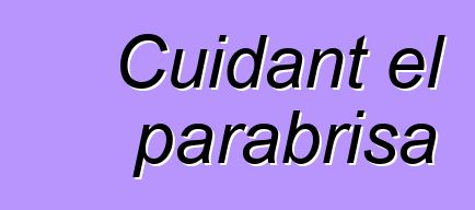 Cuidant el parabrisa