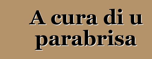 A cura di u parabrisa