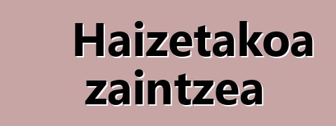 Haizetakoa zaintzea