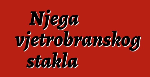 Njega vjetrobranskog stakla