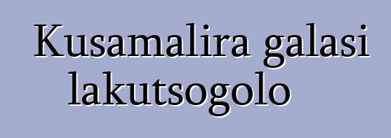Kusamalira galasi lakutsogolo
