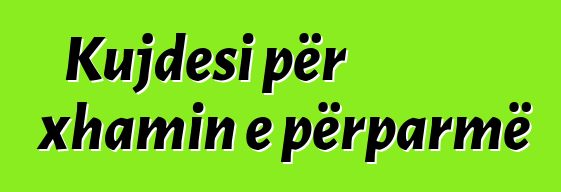 Kujdesi për xhamin e përparmë