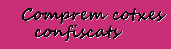 Comprem cotxes confiscats