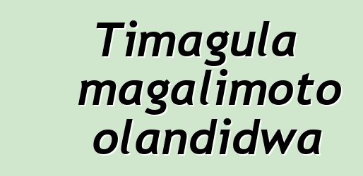 Timagula magalimoto olandidwa