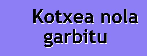 Kotxea nola garbitu