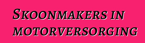 Skoonmakers in motorversorging