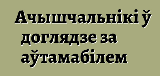 Ачышчальнікі ў доглядзе за аўтамабілем
