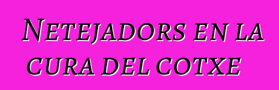 Netejadors en la cura del cotxe