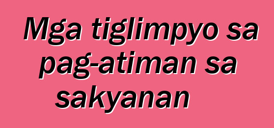 Mga tiglimpyo sa pag-atiman sa sakyanan