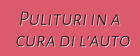 Pulituri in a cura di l'auto