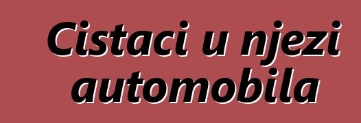 Čistači u njezi automobila