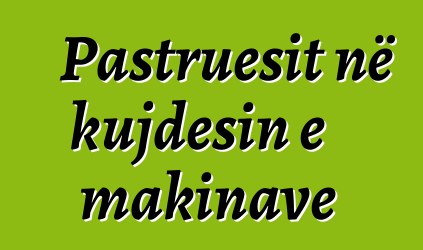Pastruesit në kujdesin e makinave