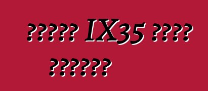 ሀዩንዳይ IX35 መኪና። ግምገማዎች