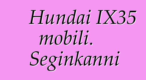 Hundai IX35 mobili. Seginkanni