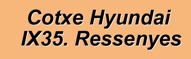 Cotxe Hyundai IX35. Ressenyes