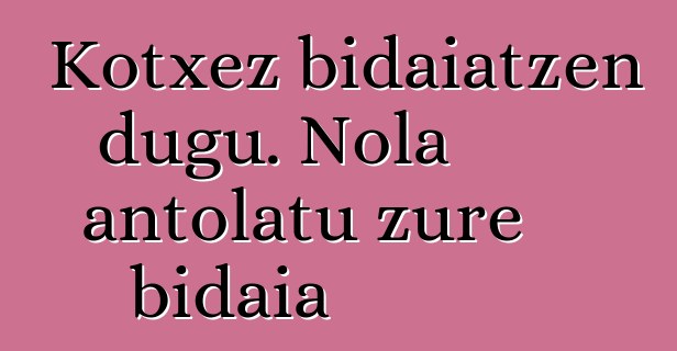 Kotxez bidaiatzen dugu. Nola antolatu zure bidaia
