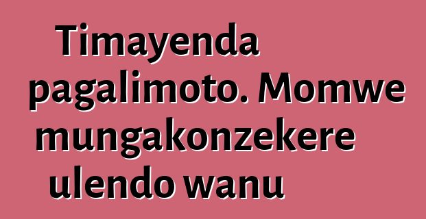 Timayenda pagalimoto. Momwe mungakonzekere ulendo wanu