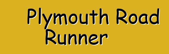 Plymouth Road Runner