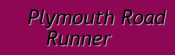 Plymouth Road Runner