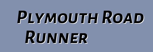 Plymouth Road Runner